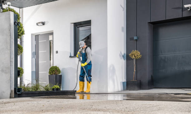 Best Soft Washing  in Tampa, FL